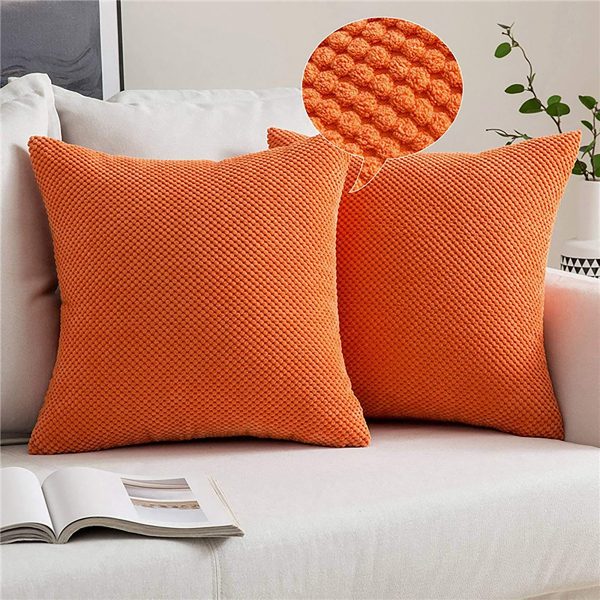 Throw Pillows 18x18 Inch Soft square Double-Sided Design Pack of 2 for Couch Sofa Living Room Bed Bedroom Soft Throw Pillow, inserts are included HIDDEN ZIPPER: A smooth hidden zipper is neatly incorporated into the edge of the removable cover, providing secure enclosure for your pillows while maintaining a sleek appearance.